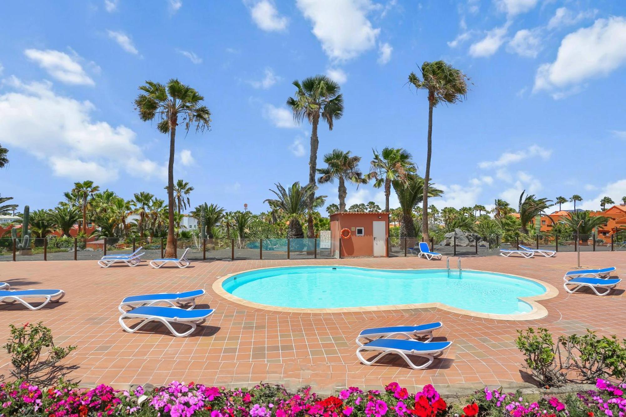 Oasis Royal Διαμέρισμα Κοραλέχο Εξωτερικό φωτογραφία